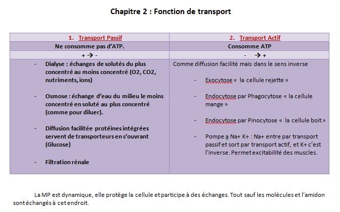 Fonction de transport